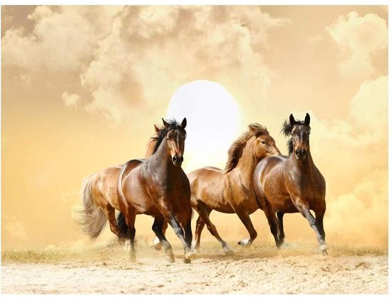Trois chevaux marron galopent sur un chemin de terre avec un grand soleil et des nuages.