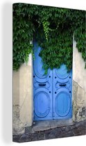 Porte bleue recouverte de lierre 40x60 cm - Tirage photo sur toile (Décoration murale salon / chambre)