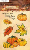 Clear stamp - Wonderful autumn nr. 478