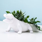 Krokodil bloempot large - Bitten Design