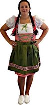 Rubie's Dirndl Tiroler Dames Polyester Wit/groen/rood Maat 42