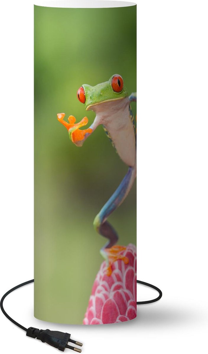 Lamp - Nachtlampje - Tafellamp slaapkamer - De Roodoogmakikikker in Costa Rica - 50 cm hoog - Ø15.9 cm - Inclusief LED lamp