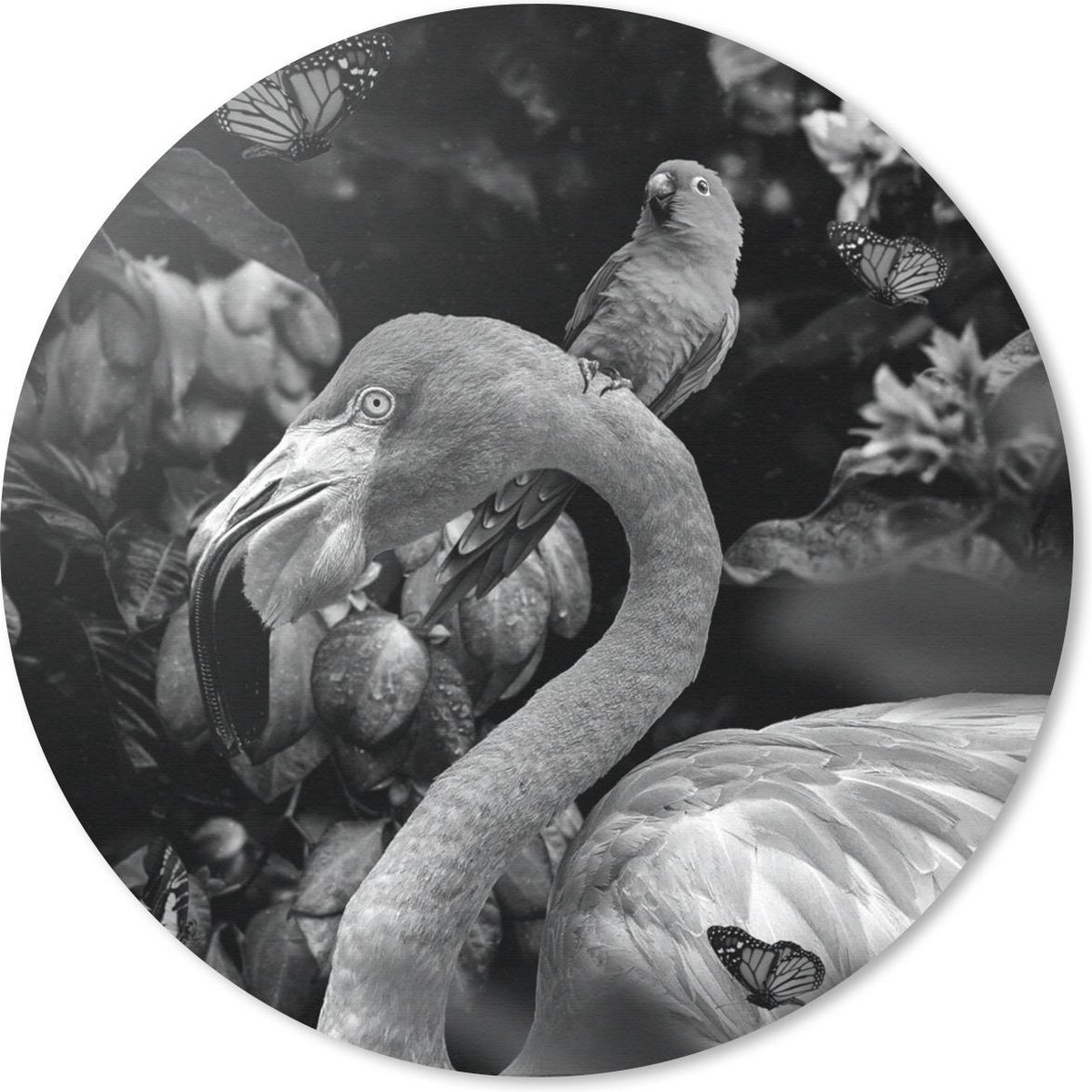 Muismat rond 50x50 cm - Mousepad Flamingo - Jungle - Papegaai - Zwart - Wit - Ronde muismatten