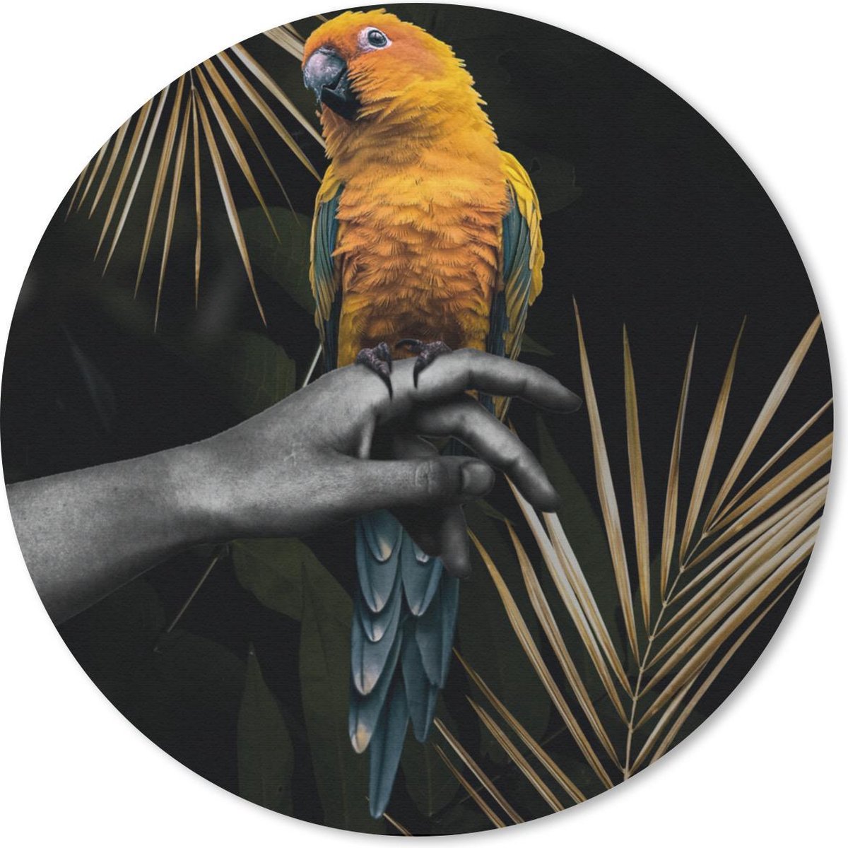 Muismat rond 40x40 cm - Mousepad Vogel - Papegaai - Hand - Varen - Ronde muismatten