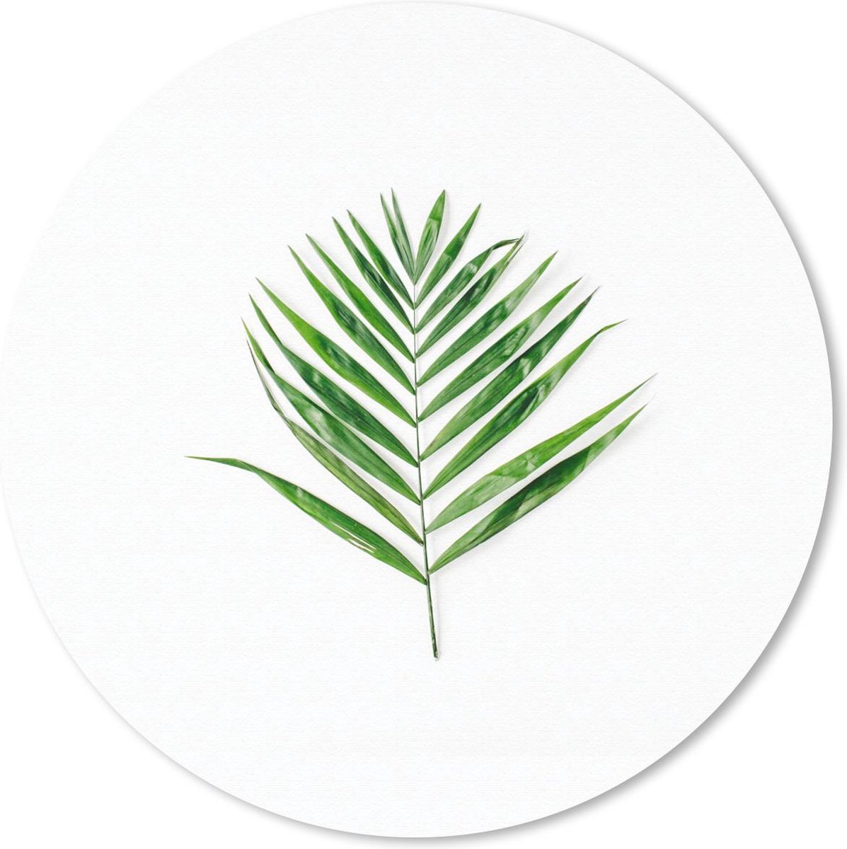 Muismat rond 40x40 cm - Mousepad Tropisch - Blad - Groen - Ronde muismatten