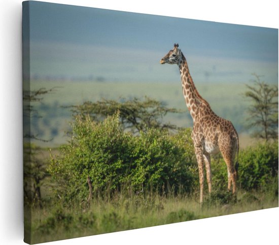 Artaza Canvas Schilderij Giraffe In Het Wild Tussen De Struiken - Foto Op Canvas - Canvas Print