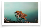 Walljar - Orange Tree - Muurdecoratie - Poster