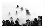Walljar - Mistige Wolken Bos - Muurdecoratie - Poster met lijst