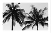 Walljar - Tropical Palms - Zwart wit poster