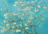 Van Gogh Schilderij Print Poster Wall Art Kunst Canvas Printing Op Papier Living Decoratie  LEEP-277