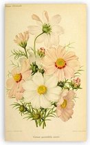 Antique Flowers Bloemen Print Poster Wall Art Kunst Canvas Printing Op Papier Living Decoratie 15X20cm Multi-color