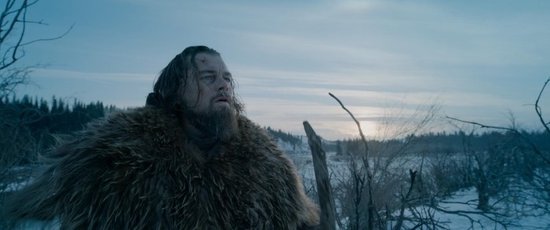Leonardo DiCaprio met baard en een dikke bontjas, kijkend omhoog in een besneeuwd, mistig landschap.