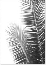 Schilderij Palm bladeren, 4 maten, zwart-wit