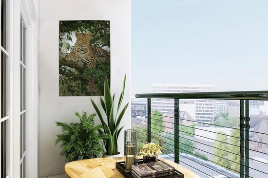 Décoration de jardin Panthère - Arbre - Animaux sauvages - 40x60 cm - Affiche de jardin