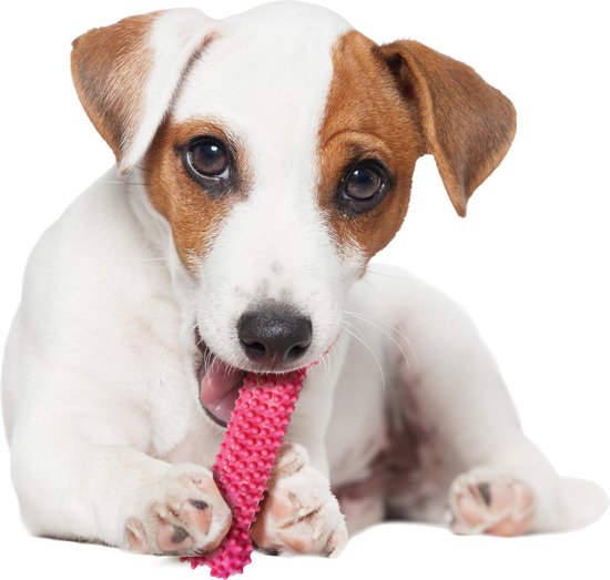 Nylabone Puppy kauwbot voor wisselgebit met kipsmaak In roze of blauw - XS - Blauw - Nylabone