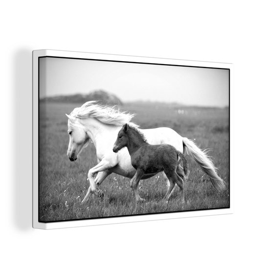 Canvas Schilderij Paarden - Dieren - Gras - 60x40 cm - Wanddecoratie