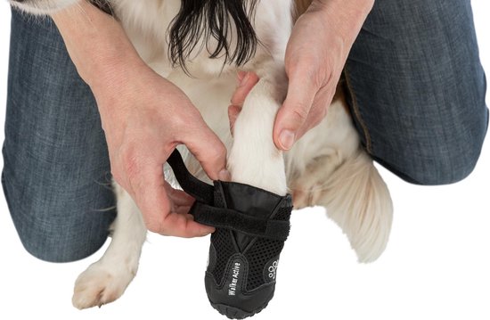 Persoon die een zwarte hondenschoen aanpakt aan de poot van een hond.