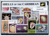 Schelpen van de caribbean – Luxe postzegel pakket (A6 formaat) : collectie van verschillende postzegels van schelpen van de caribbean – kan als ansichtkaart in een A6 envelop - aut