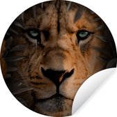 Wallpaper Circle - Vue de face d'une lionne dans la jungle - ⌀ 140 cm