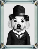 70 x 90 cm - Spiegellijst met prent - Hond Charlie Chaplin - prent achter glas