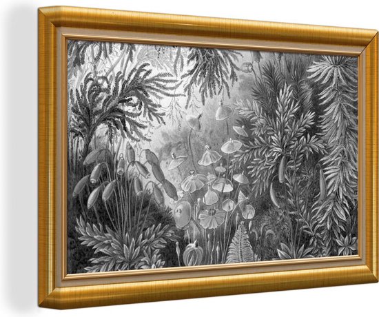 Oeuvre de Peinture sur Toile - Maîtres Anciens - Cadres - Or - 90x60 cm - Art Décoration murale