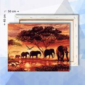 Schilderen op nummer pakket Olifanten bij zonsopkomst - 40 x 50 cm - met frame