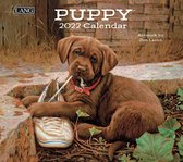 Puppy Kalender 2022