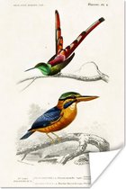 Tuinposter