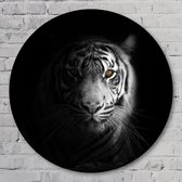 Muurcirkel ⌀ 50 cm - Eye of the tiger - Aluminium Dibond - Dieren - Rond Schilderij - Wandcirkel - Wanddecoratie