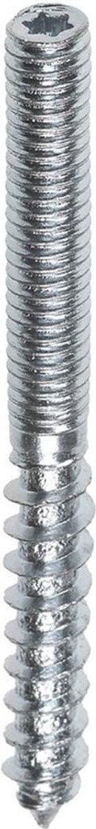 Stokeind M6X100Mm Elvz Torx15 - 100 stuks