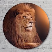 Muurcirkel ⌀ 70 cm - Muurcirkel lion - Aluminium Dibond - Dieren - Rond Schilderij - Wandcirkel - Wanddecoratie