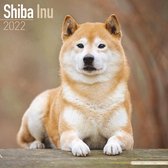 Shiba Inu Kalender 2022