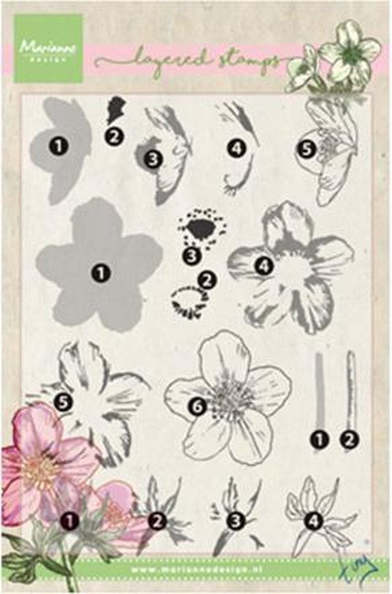 Marianne Design Stempel Layering Tinys helleborus TC0861