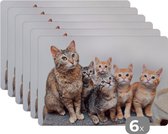 Placemat - Placemats kunststof - Kat - Kittens - Vacht - 45x30 cm - 6 stuks - Hittebestendig - Anti-Slip - Onderlegger - Afneembaar