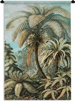 Wandkleed - Wanddoek - Palmboom - Ernst Haeckel - 90x135 cm - Wandtapijt