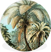 WallCircle - Schilderij - Boom - Kunst - Palmboom Ernst Haeckel - Multicolor - 120x120 cm