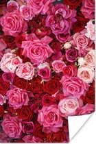 Poster Rozen - Roze - Rood - 40x60 cm