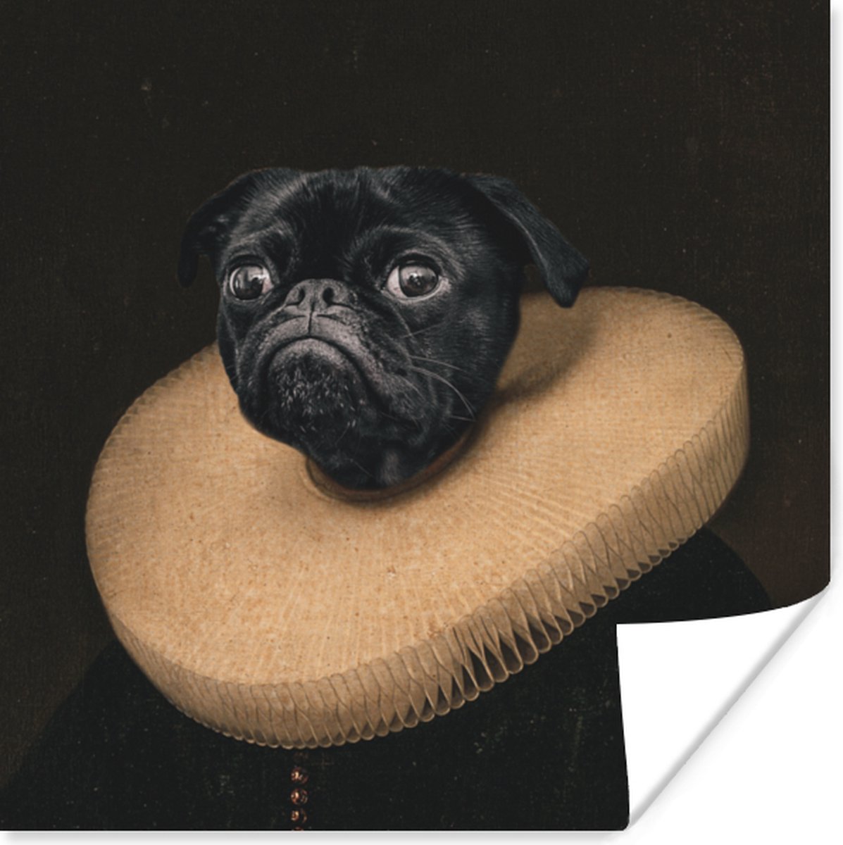 Poster Hond - Kleding - Middeleeuwen - 75x75 cm | bol.com