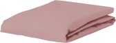 ESSENZA Premium Percale Hoeslaken Woodrose - 80x200 cm