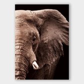 Poster Elephant - Plexiglas - Meerdere Afmetingen & Prijzen | Wanddecoratie - Interieur - Art - Wonen - Schilderij - Kunst