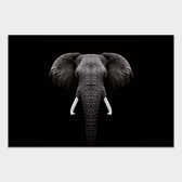 Dark Elephant behang