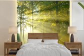Papier peint - Papiers Papier peint photo Forêt - Lumière - Printemps - Largeur 300 cm x Hauteur 300 cm