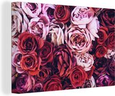 Canvas Schilderij Rozen - Rood - Roze - 30x20 cm - Wanddecoratie
