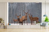 Behang - Fotobehang Hert - Bos - Winter - Breedte 360 cm x hoogte 240 cm
