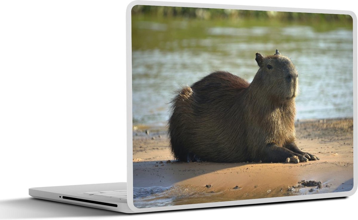 Afbeelding van product SleevesAndCases  Laptop sticker - 10.1 inch - Capibara liggend langs het water