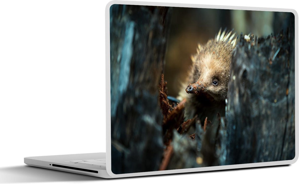 Afbeelding van product SleevesAndCases  Laptop sticker - 10.1 inch - Een mierenegel in een dode boom