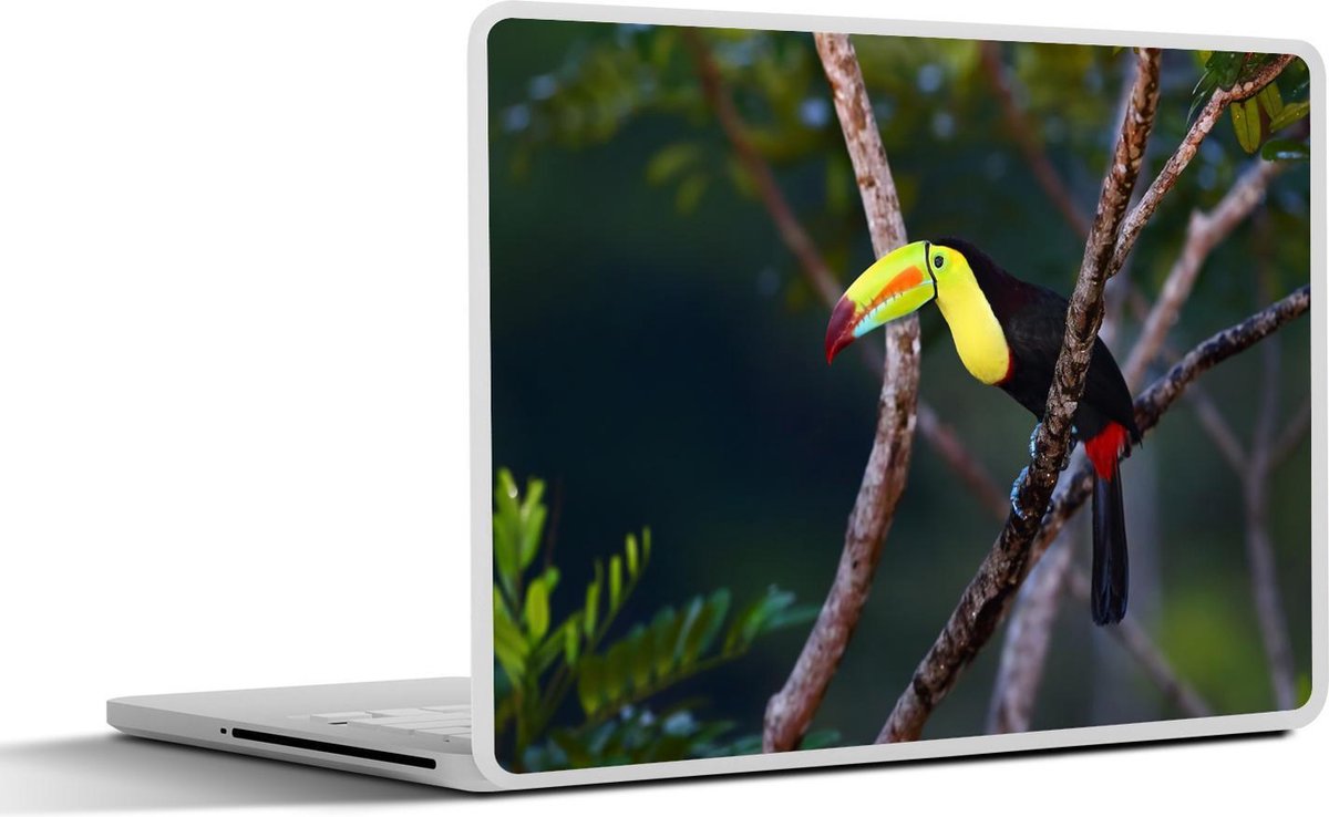 Afbeelding van product SleevesAndCases  Laptop sticker - 12.3 inch - Een toekan zit hoog in een boom