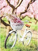 Diamond painting - Witte vrouwen fiets met bloemen - Geproduceerd in Nederland - 40 x 60 cm - canvas materiaal - vierkante steentjes - Binnen 2-3 werkdagen in huis