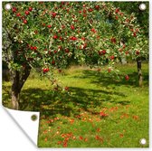 Tuinposters Fruit - Boom - Appel - 50x50 cm - Tuindoek - Buitenposter