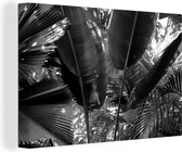 Canvas Schilderij Tropische bladeren in jungle fotoprint - zwart wit - 90x60 cm - Wanddecoratie